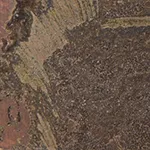 Bark